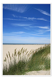 Poster Summer beach grass