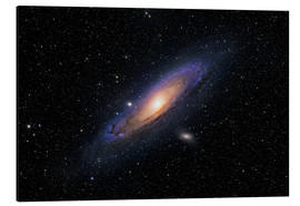 Aluminium print  The Andromeda Galaxy - Roth Ritter