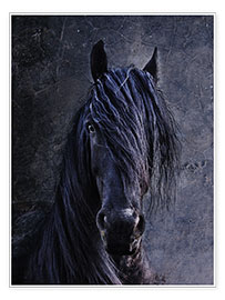 Poster The Friesian