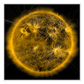 Poster Magnetic field lines on the Sun.