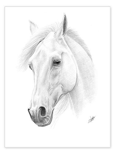 Poster Horse drawing