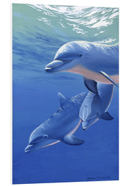 Foam board print  Happy dolphins - Graeme Stevenson