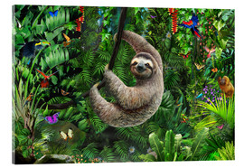 Acrylic print  Sloth in the Jungle - Adrian Chesterman