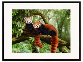 Framed art print  Red Pandas - Katarina Sokolova