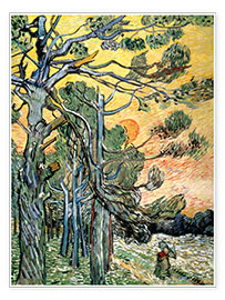 Poster Pines with Setting Sun and Woman