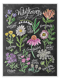 Poster Wildflowers Chalk