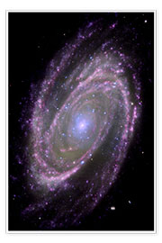 Poster Spiral galaxy M81