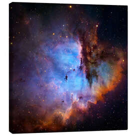 Canvas print  Starbirth region (NGC 281) - Robert Gendler