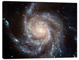Canvas print  Spiral galaxy M101 - NASA