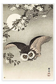 Poster  Owl in flight - Ohara Koson