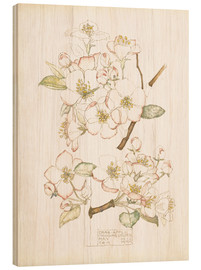 Wood print  Apple blossom - Charles Rennie Mackintosh