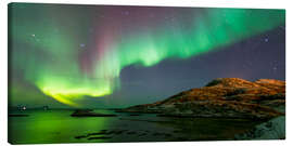 Canvas print  Northern Lights near Tromso, Norway - Louise Murray