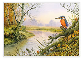 Poster Kingfisher: scene on autumnal river