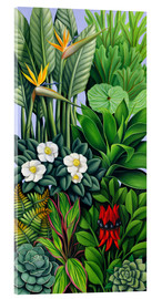 Acrylic print  Foliage II - Catherine Abel
