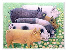 Poster  Pigs - Pat Scott