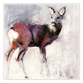 Poster  Shy deer in the snow - Mark Adlington