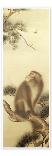 Poster Monkey watching a dragonfly
