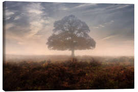 Canvas print  New Forest - Joana Kruse