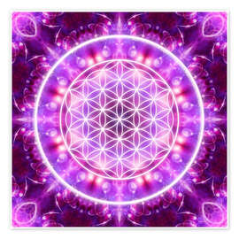 Poster  Flower of Life, transformation - Dolphins DreamDesign
