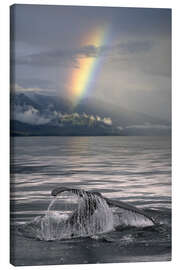Canvas print  Humpback whale fin off Alaska - Ron Sanford