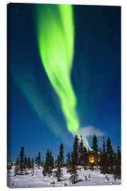Canvas print  Aurora in Alaska - Kevin Smith