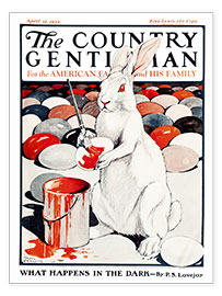 Poster  Cover of Country (White Rabbit) - Remsberg
