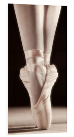 Foam board print  Ballet Shoes - Don Hammond