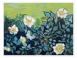Poster  Wild Roses - Vincent van Gogh