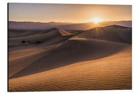 Aluminium print  Sunset at the Dunes in Death Valley - Andreas Wonisch
