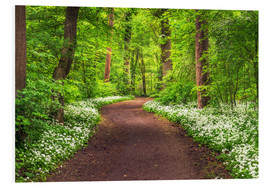 Foam board print  Path through Forest full of Wild Garlic during Spring - Andreas Wonisch