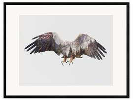 Framed art print  Arctic Eagle - Andreas Lie