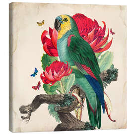 Canvas print  Oh My Parrot X - Mandy Reinmuth