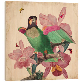 Wood print  Oh my parrot VIII - Mandy Reinmuth