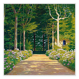 Poster Hydrangeas on a garden path