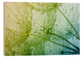 Wood print  A Sea of Drops