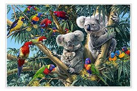 Poster  Koala Outback - Steve Read