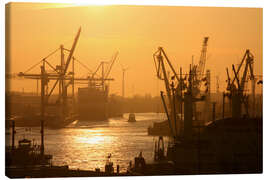 Canvas print  Morning light in the Hamburg harbor