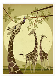 Poster  Giraffes - Dieter Braun