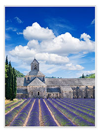 Poster  Sénanque abbey with lavender field, Provence, France