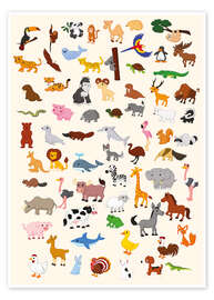 Poster  Animal World - Kidz Collection