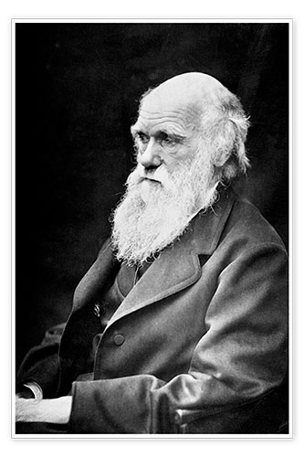 Poster Charles Darwin