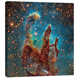 Canvas print  Eagle Nebula - Robert Gendler
