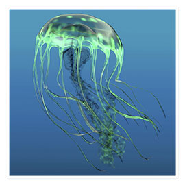 Poster  Green jellyfish illustration. - Corey Ford