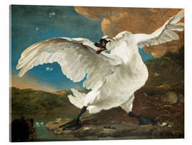 Acrylic print  The threatened swan - Jan Asselijn