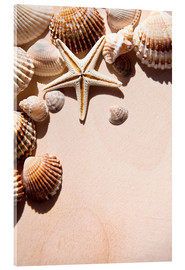 Acrylic print  Starfish and shells