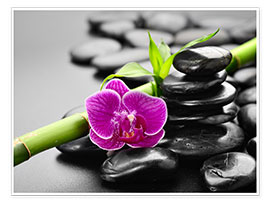 Poster  Basalt stones, bamboo and orchid