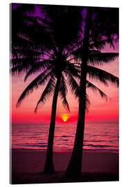 Acrylic print  Palm trees and tropical sunset