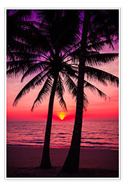 Poster  Palm trees and tropical sunset