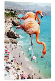 Acrylic print  Flamingos on the beach - Uma 83 Oranges