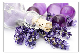 Poster delicate lavender